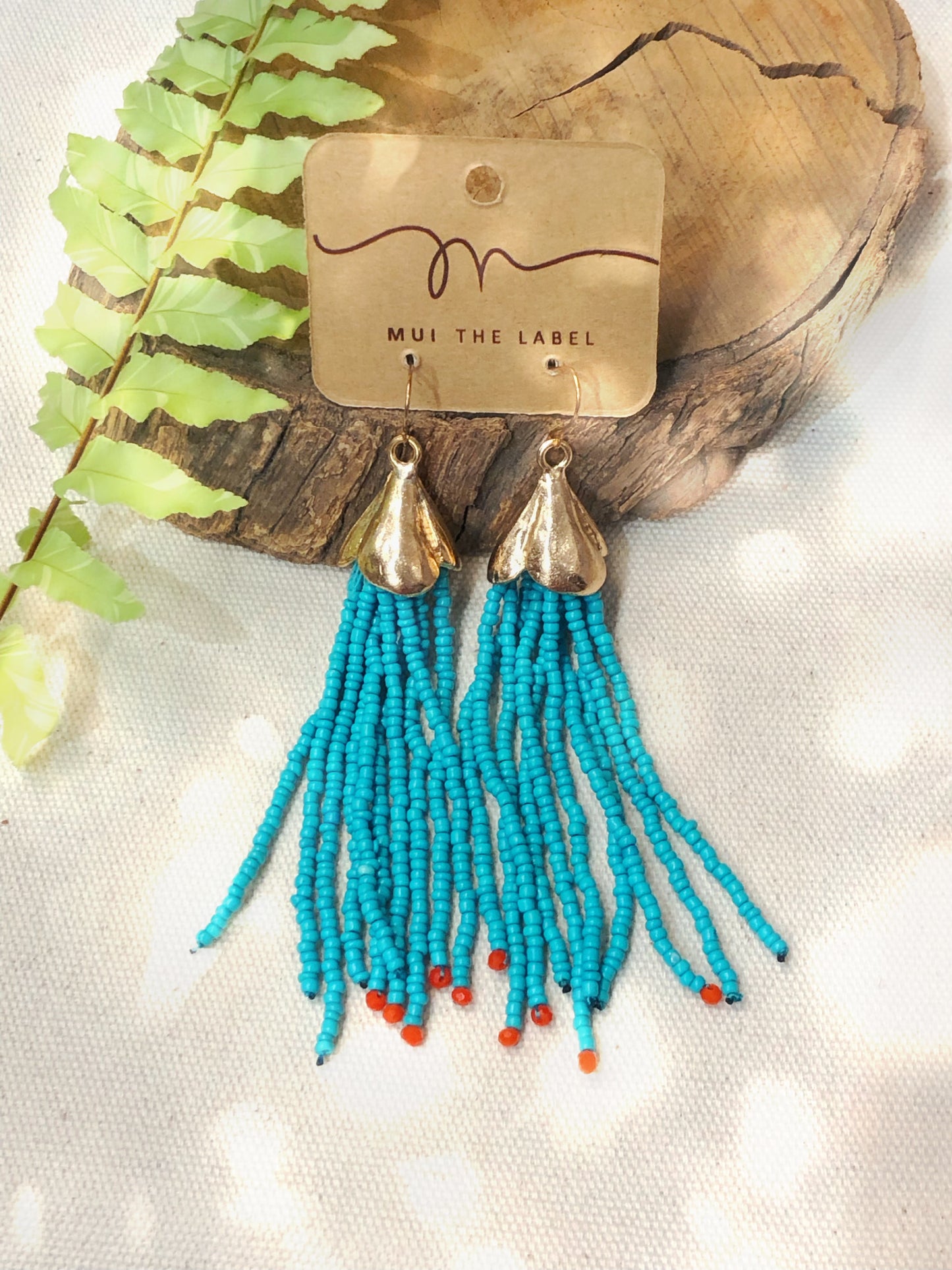 Long turquoise tassel earrings with red bead on the bottom.